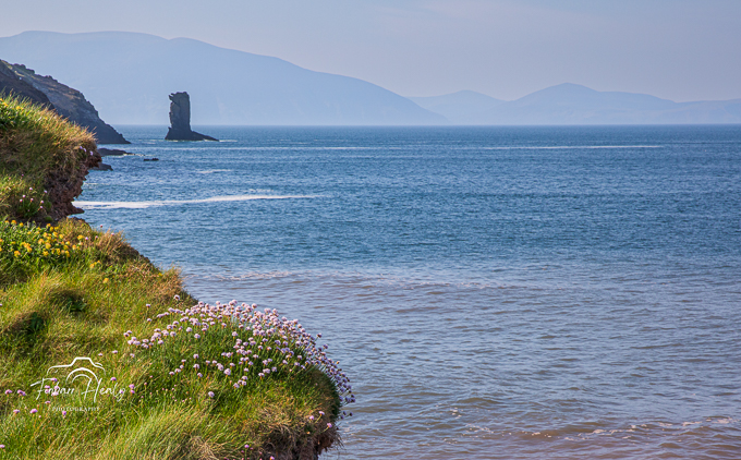 Sea Stack, Co.Kerry